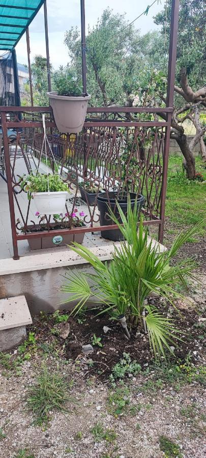 Apartman Duce Milka Villa Exterior photo